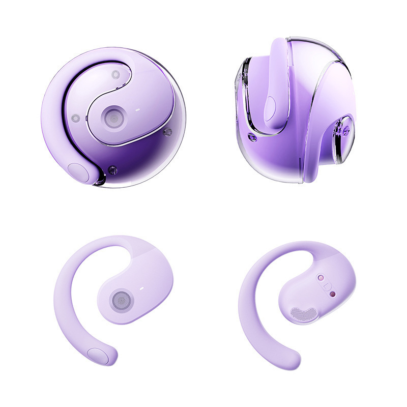 Language Translator Earbuds